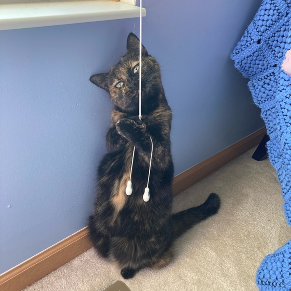 Meet the Posher - Picture 2 of 3